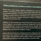 Meghan prinsessa Hollywoodista - pikkukuva 3