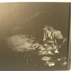 October Falls: The Womb Of Primordial Nature CD. - pikkukuva 2