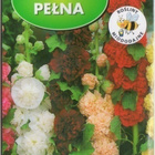 Tarhasalkoruusu "Chaters Mix" - siemenet # - pikkukuva 1