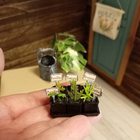 Nukkekoti miniatyyrit yrttilaatikko 1:12 - pikkukuva 1