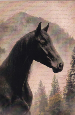 postikortti hevonen