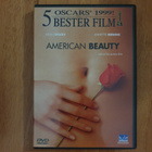 American Beauty - pikkukuva 1