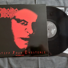 CHRONIC DECAY Justify Your Existence LP - pikkukuva 1