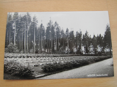 VANHA Postikortti Mänttä 1950-l Alkup. Mallikappale