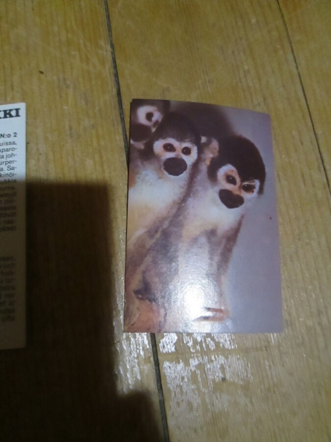  JENKKI   Korkeasaari purkkakuva n:o 5
