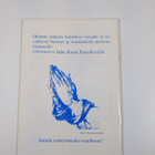 Patrioottiveteraani J. K. Paasikivi oli Suomen asialla (t... - pikkukuva 2