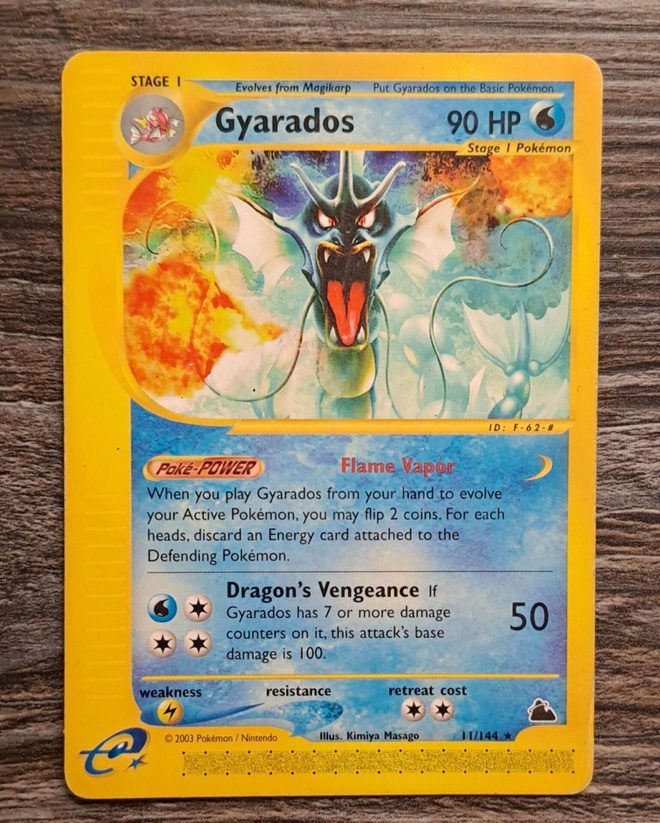Gyarados skyridge rare!