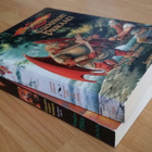 Dragonlance: Tuomion prikaati & Viimeinen kääpiökuningas - pikkukuva 1