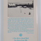 Eino Leino : Salt of pleasure : twentieth-century Finnish... - pikkukuva 2