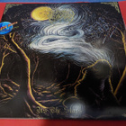 WOODS OF DESOLATION - AS THE STARS UUSI LP NIMMARILLA - pikkukuva 1