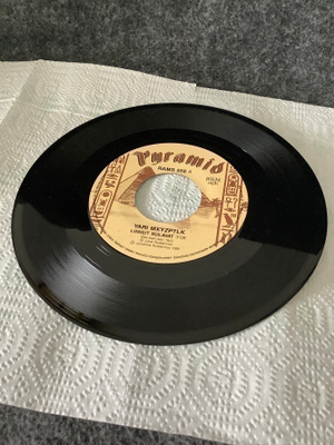 YARI MXYZPTLK:LINNUT SULAVAT/AURINKO  7" (SINGLE)
