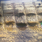 The Musicians of the Nile: Luxor to Isna (1989) LP - pikkukuva 2