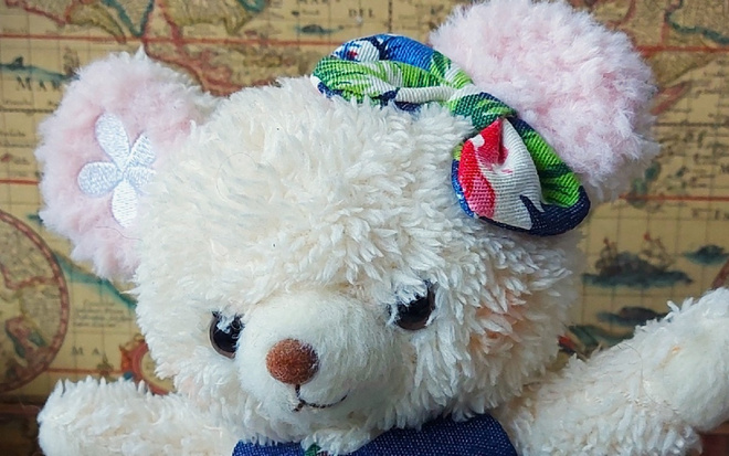 Japanilainen Girly Bear Okinawalaisessa Vaatteissa