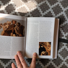 Hagen: What Paintings Say. 100 Masterpieces in Detail - pikkukuva 5