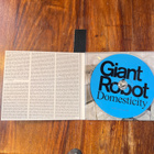 Giant Robot - Domesticity cd - pikkukuva 3