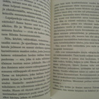 Mark Twain Matkakirjeitä maasta - pikkukuva 4