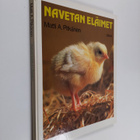 Matti A. Pitkänen : Navetan eläimet - pikkukuva 1