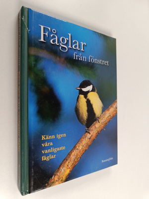 Ulla Hemberg : Fåglar från fönstret