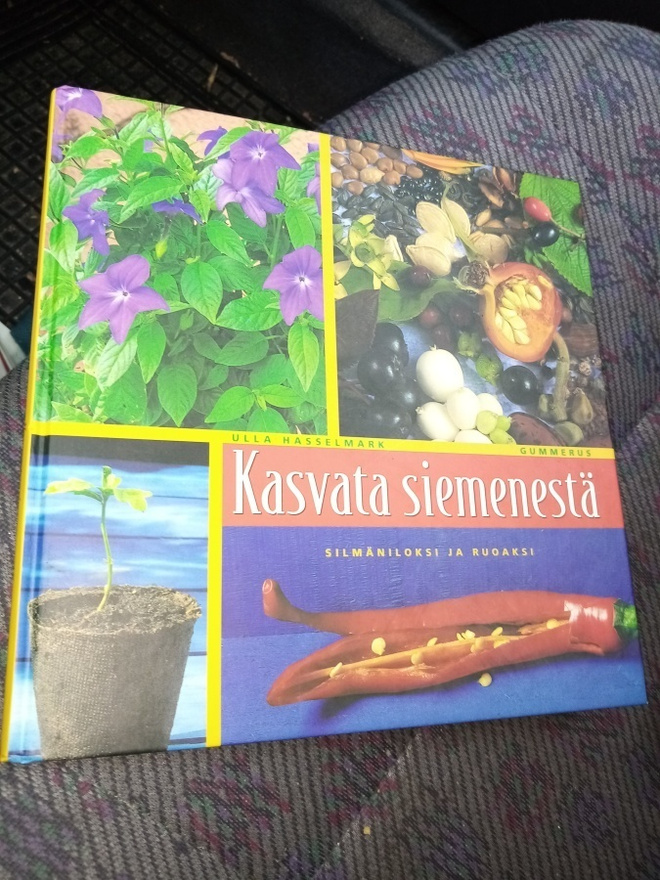 HASSELMARK : KASVATA SIEMENESTÄ ( SIS.POSTIKULUT)