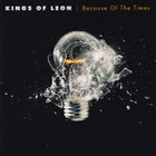 Kings Of Leon – Because Of The Times - pikkukuva 1