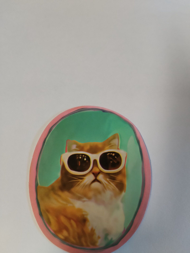 Kissa tarra.