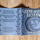 Leevi and the Leavings hopeahääpäivä CD - pikkukuva 5