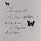 Pirkko Arstila : Naisen silmin (signeerattu, tekijän omiste) - pikkukuva 3