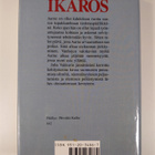 Juha Vakkuri : Ikaros - pikkukuva 2