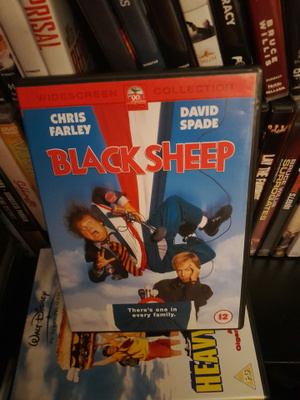 black sheep