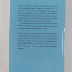 Elisabet Aho : Lilly : historiallinen romaani 1861-1918 - pikkukuva 2