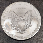 1 oz 999 Hopea raha American Silver Eagle 2010 one dollar - pikkukuva 2