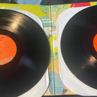 Beach Boys: Endless Summer 2LP + juliste - pikkukuva 4