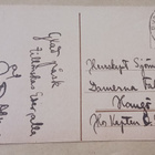 Lapsi kantaa kukkoa, kanaa ja tipuja selässään, p. 1920 - pikkukuva 2