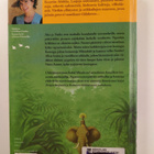 Isabel Allende : Pygmien metsä - pikkukuva 2