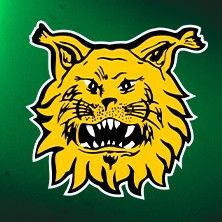 Ilves - Tps su 27.9 liput kahdelle halvalla