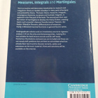 Rene L. Schilling : Measures, integrals and martingales - pikkukuva 2