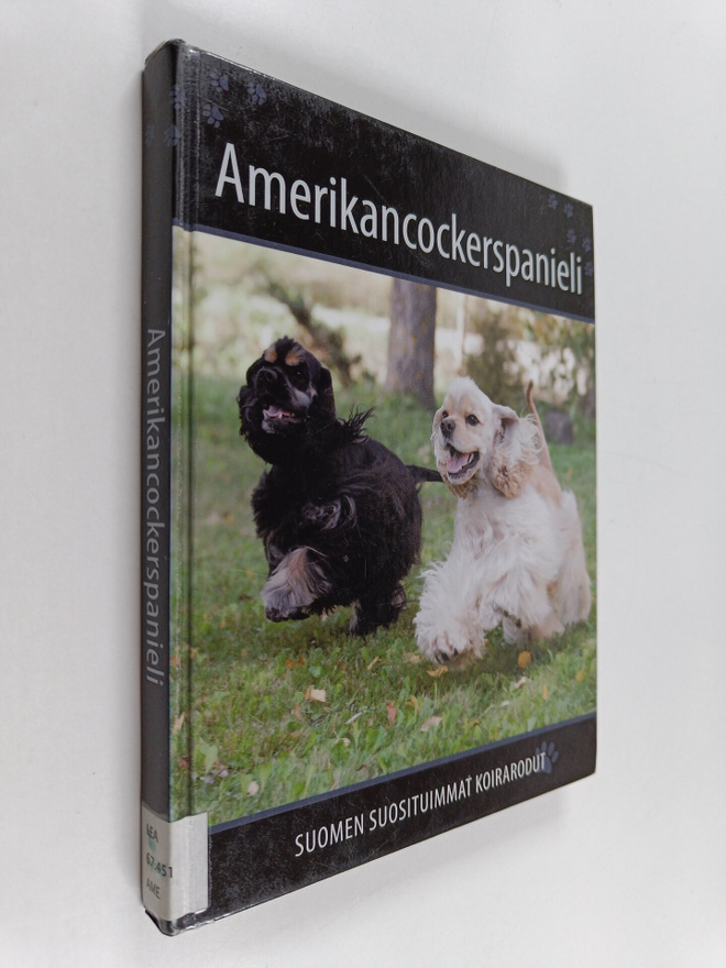 Amerikancockerspanieli