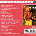 Vicky Rosti - Kun Chicago kuoli - pikkukuva 2