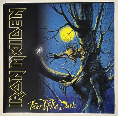 IRON MAIDEN : Fear Of The Dark - 2LP, uusi