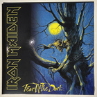 IRON MAIDEN : Fear Of The Dark - 2LP, uusi - pikkukuva 1