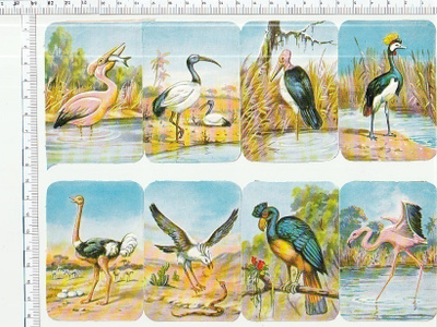 *EAS 3091, upeat isot linnut-arkki, kahdessa osassa *
