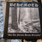 Behemoth- And The Forests Dream Eternally - pikkukuva 1