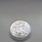 American Eagle 2013 1 oz - pikkukuva 1