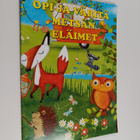 Opi ja väritä metsän eläimet - pikkukuva 1