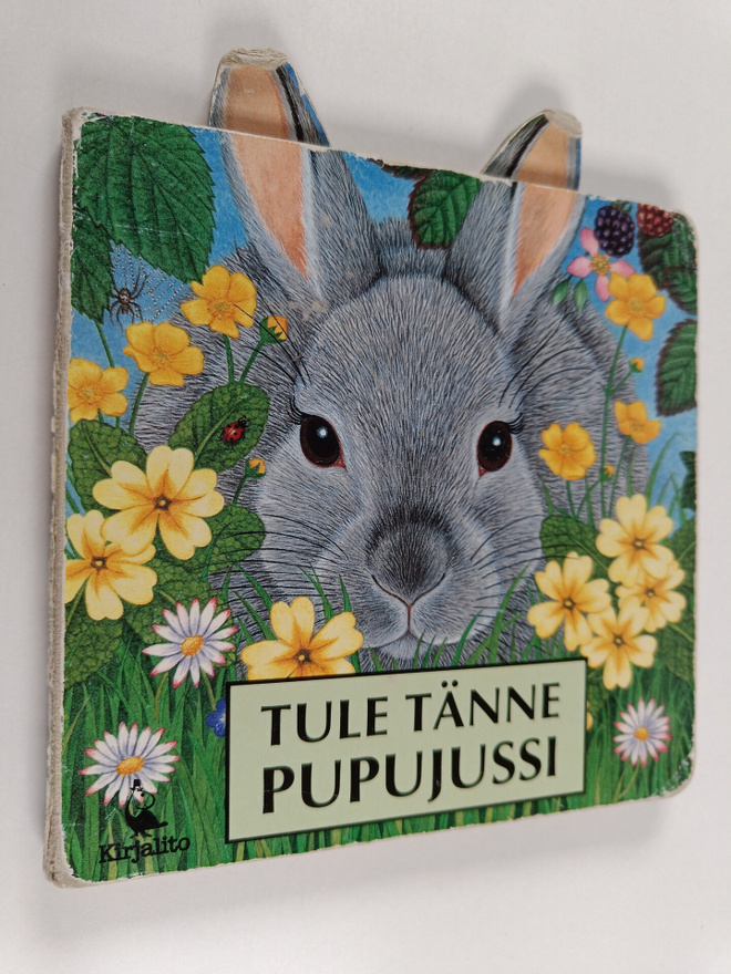 Susan Robertson : Tule tänne pupujussi