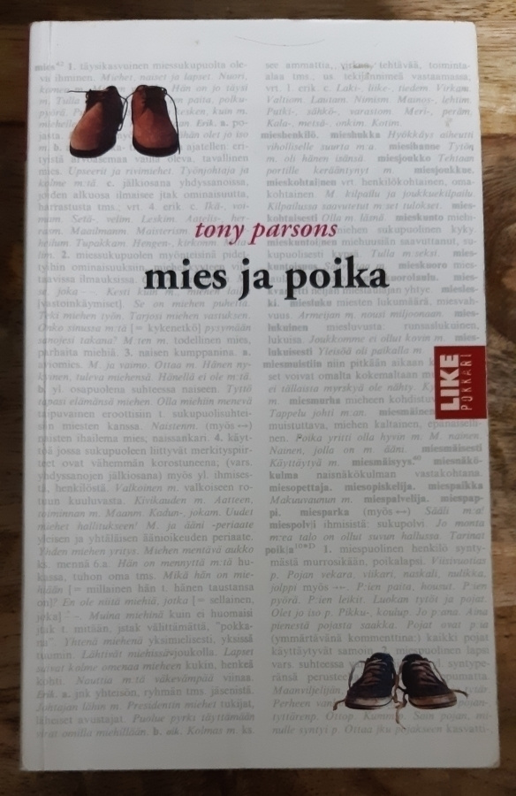Tony Parsons - Mies ja poika
