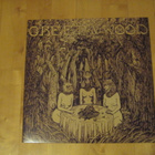GREEN & WOOD - GREEN & WOOD lp - pikkukuva 1
