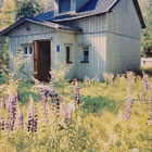 Talviasuttava mökki ja iso tontti (2970 m²) Karijoella - pikkukuva 1