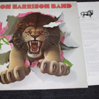 The Don Harrison Band - S/T LP - pikkukuva 1