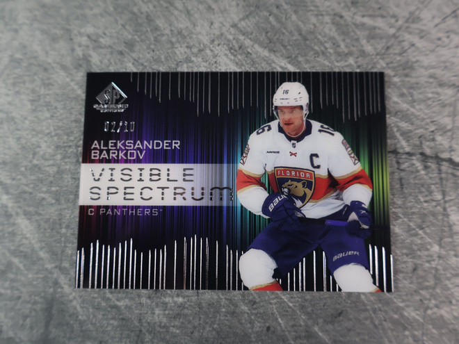 Aleksander Barkov 2024-25 SP Game Used Visible Spectrum /10